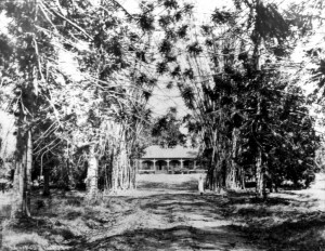 site 24 p0076 murrumba homestead 1926